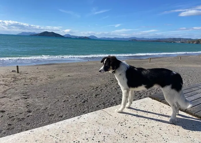 Resort Nevada Hotel&spa 3*