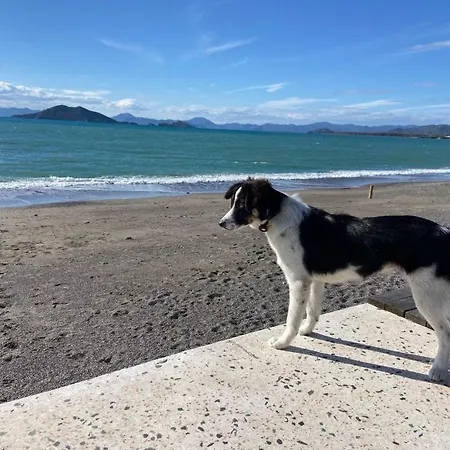 منتجع وسبا نيفادا 3*