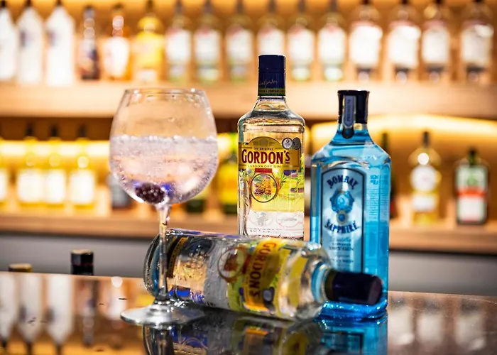 内华达水疗酒店 度假村 费特希耶